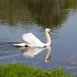 Le