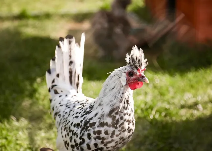 Le Parque de Campismo